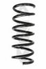 SPIDAN 86819 Coil Spring
